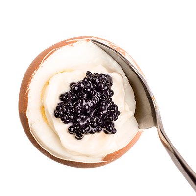 caviar-insert-LA GALERIE DAUPHINE